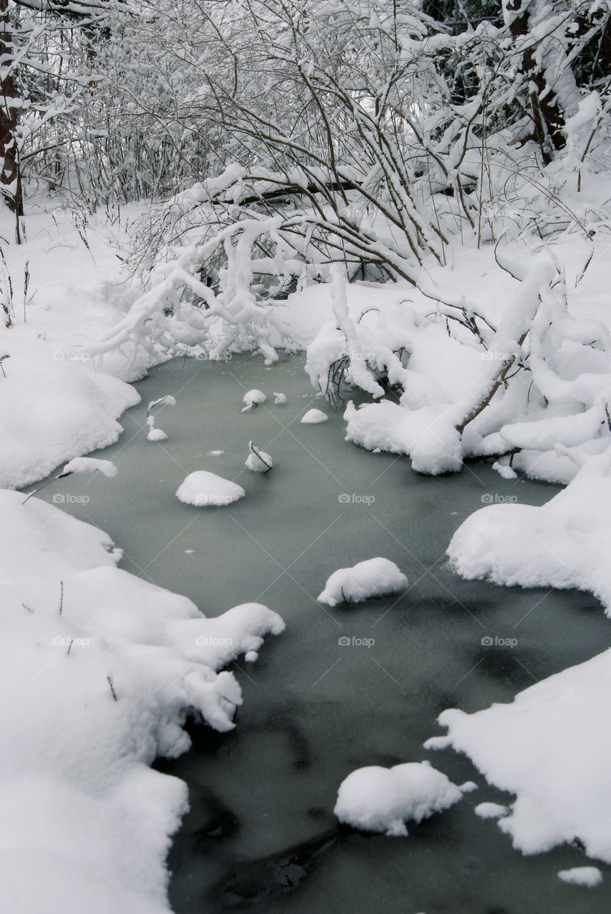 Winter stream