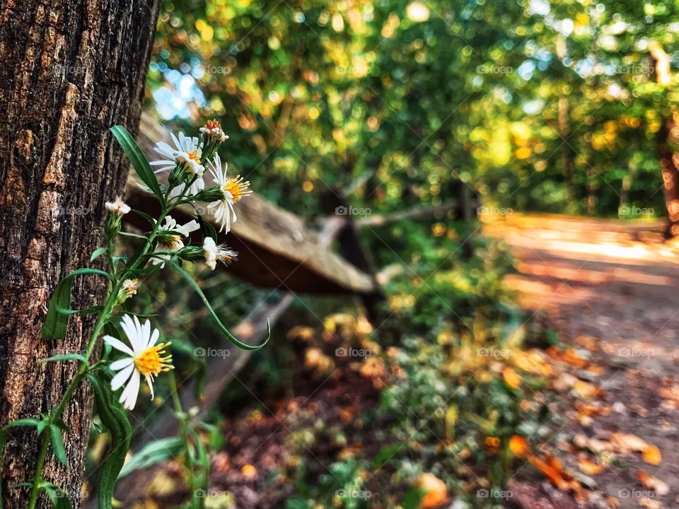 Fall vibes 