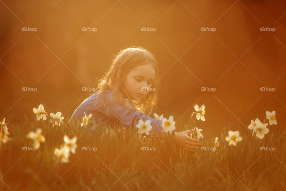 Little girl with narcissus at sunset