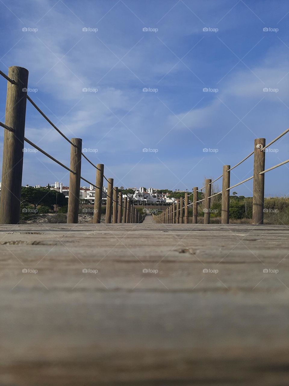 Nature's magic touch