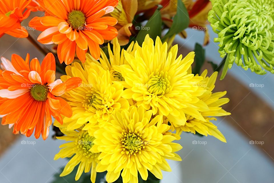 Close-up of flowers