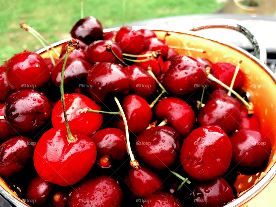 Bowl of Cherries 