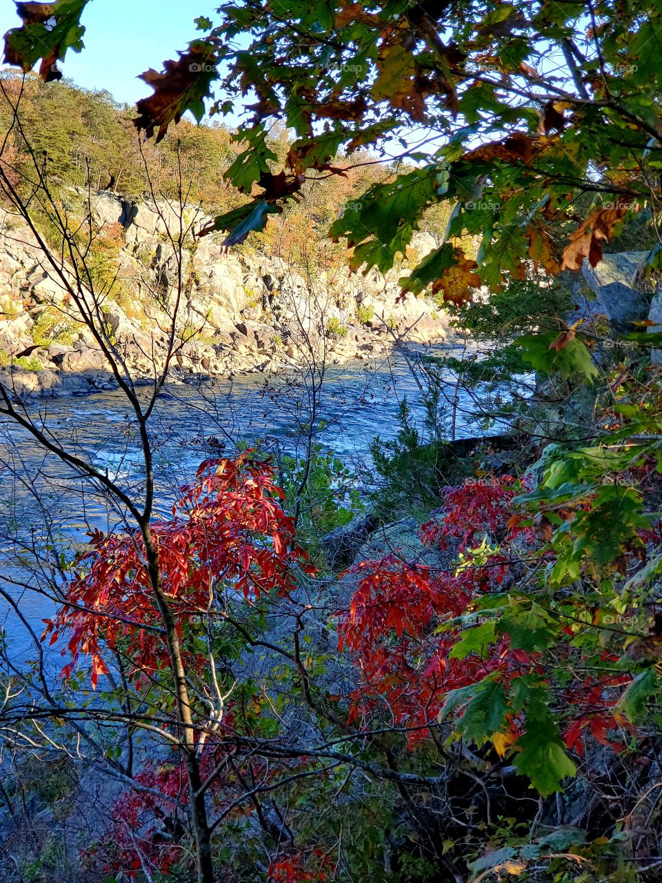 Great Falls Park