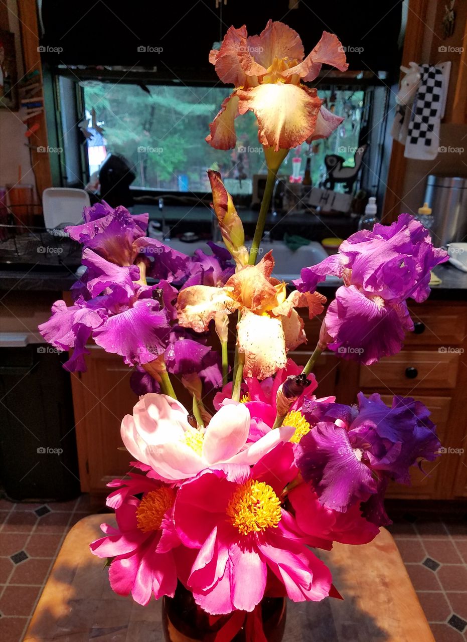 Flowers from my Garden.