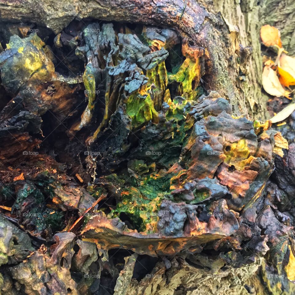 Nature rocks in all its beauty and style ...