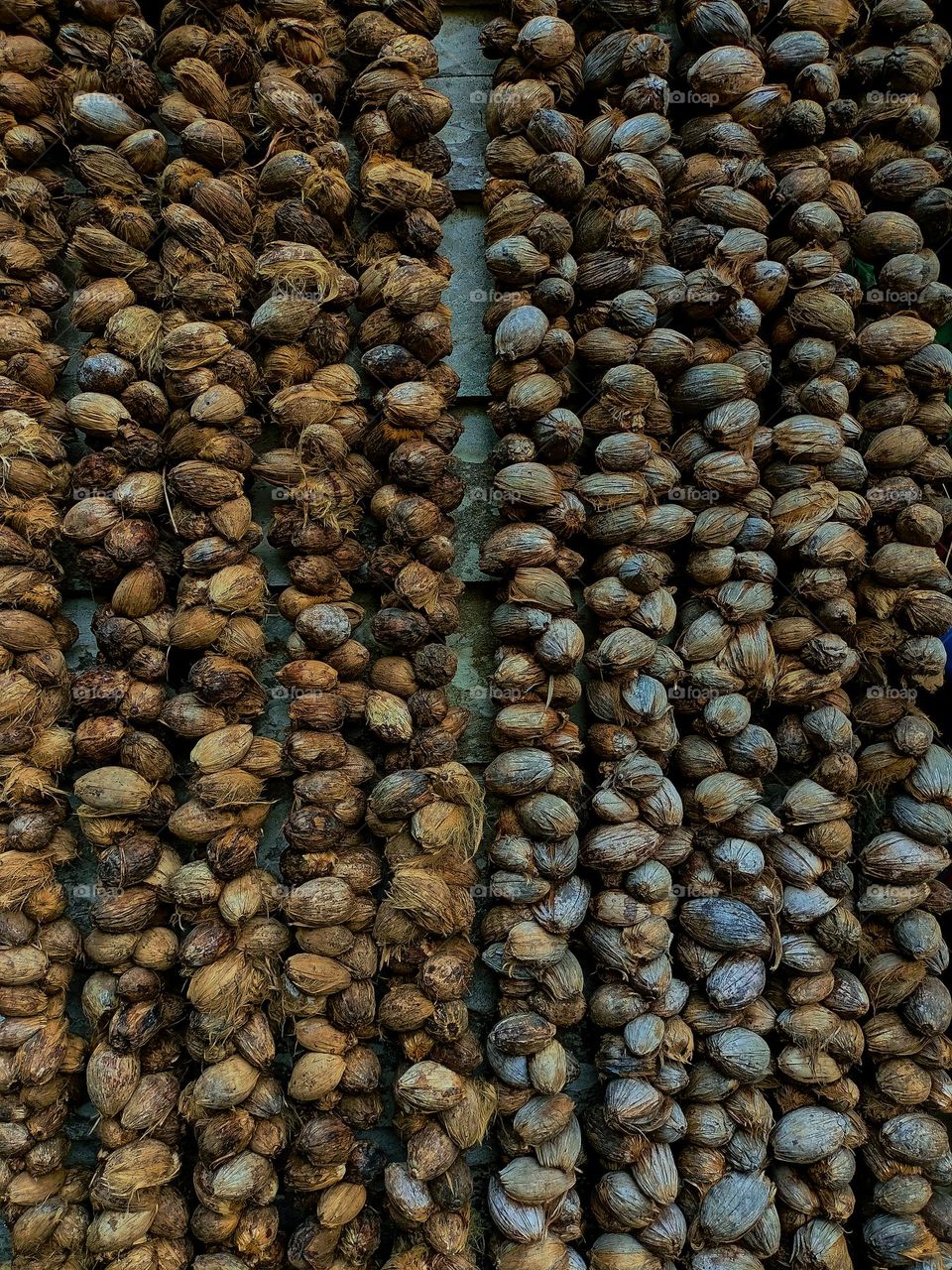 Areca nut or betel nut is dried to be sold in the market
