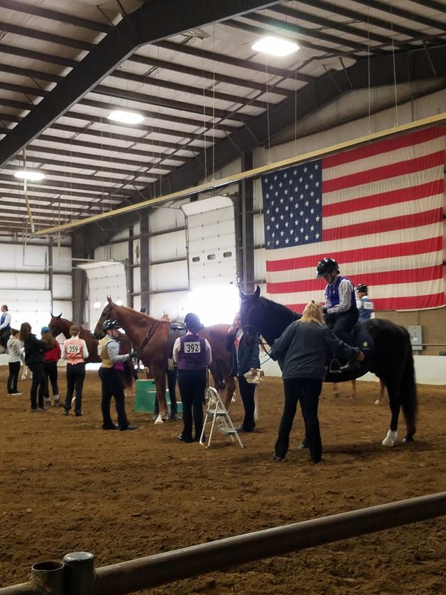 Barn Life