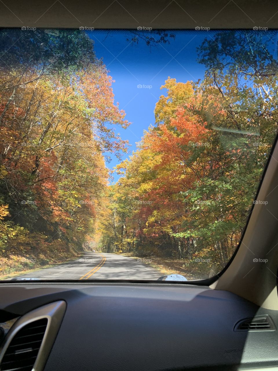 Window view from autumn road trip 
