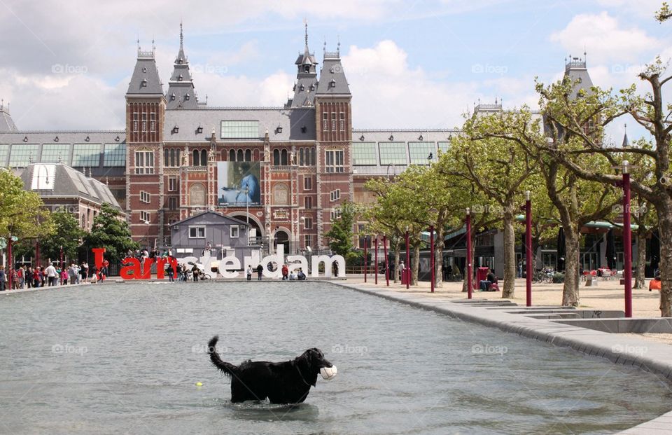I am Amsterdam 