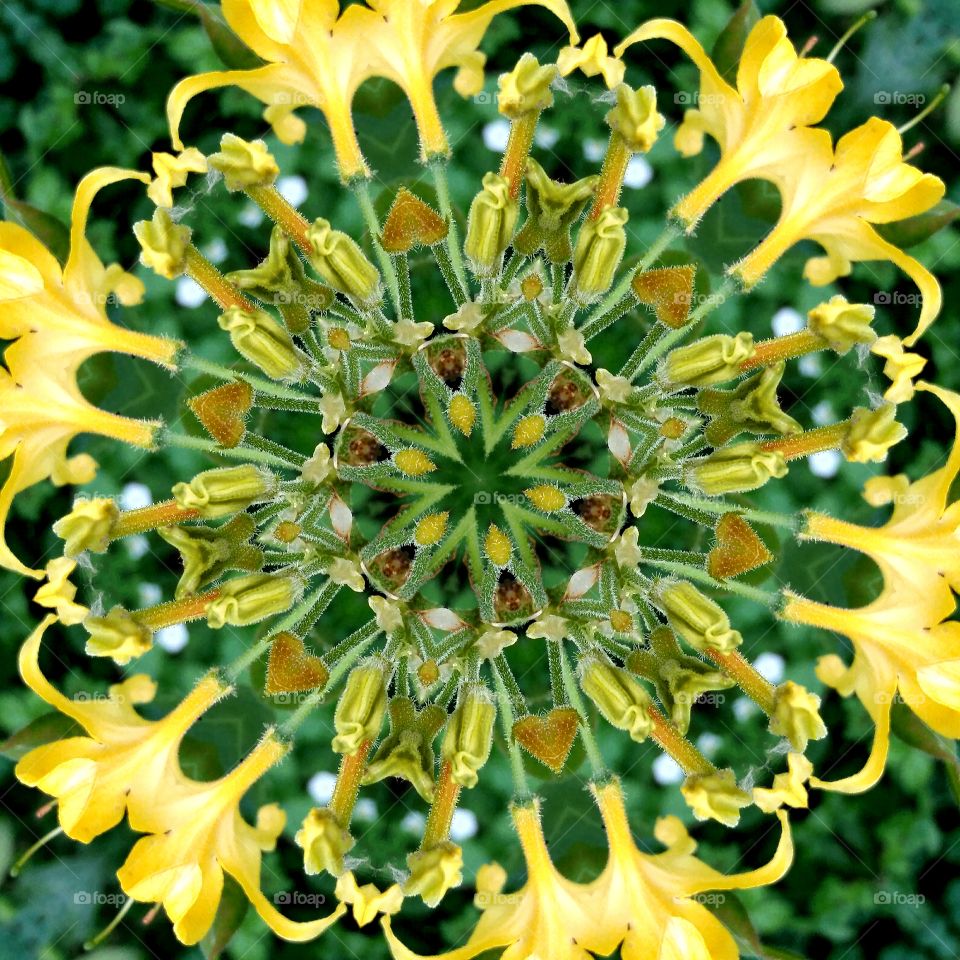 yellow green wheel mandala