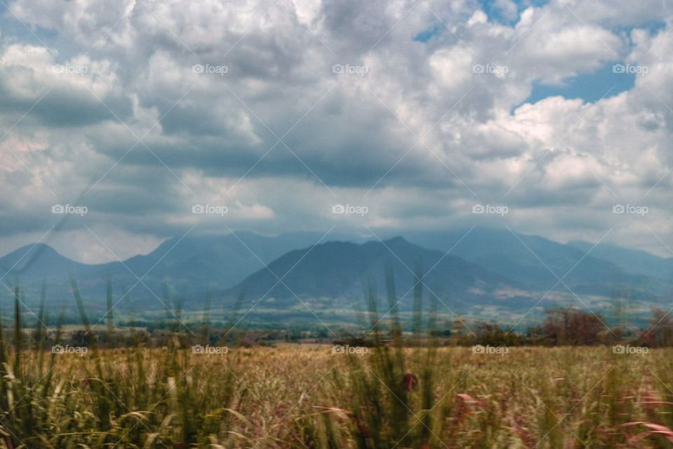 One click away and I'm good. This beautiful capture didn't take much time, it's literally a one click away. You know where this is? It's in the Philippines. 🌿