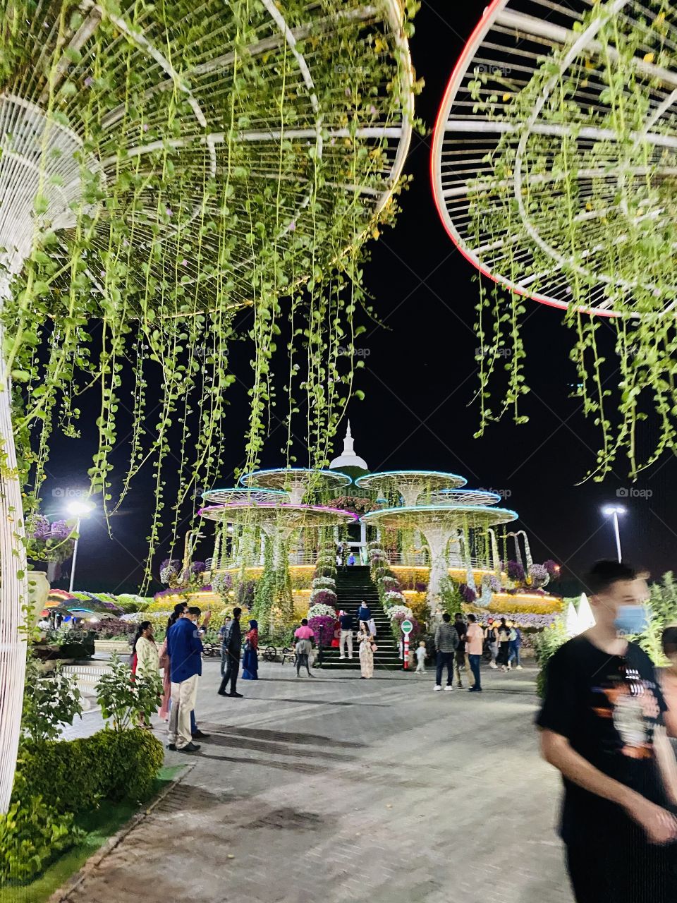 Dubai miracle garden 