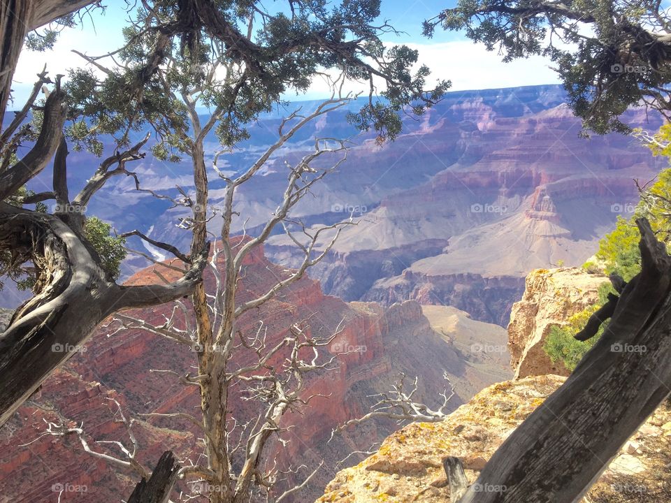 Nature . Grand Canyon 