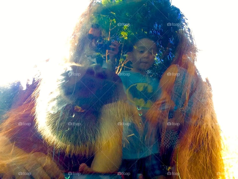 Reflection of boy in orangutan