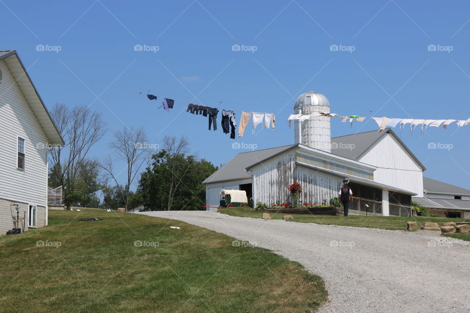 On the Farm