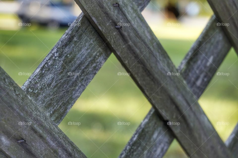 Wood fencing cage
