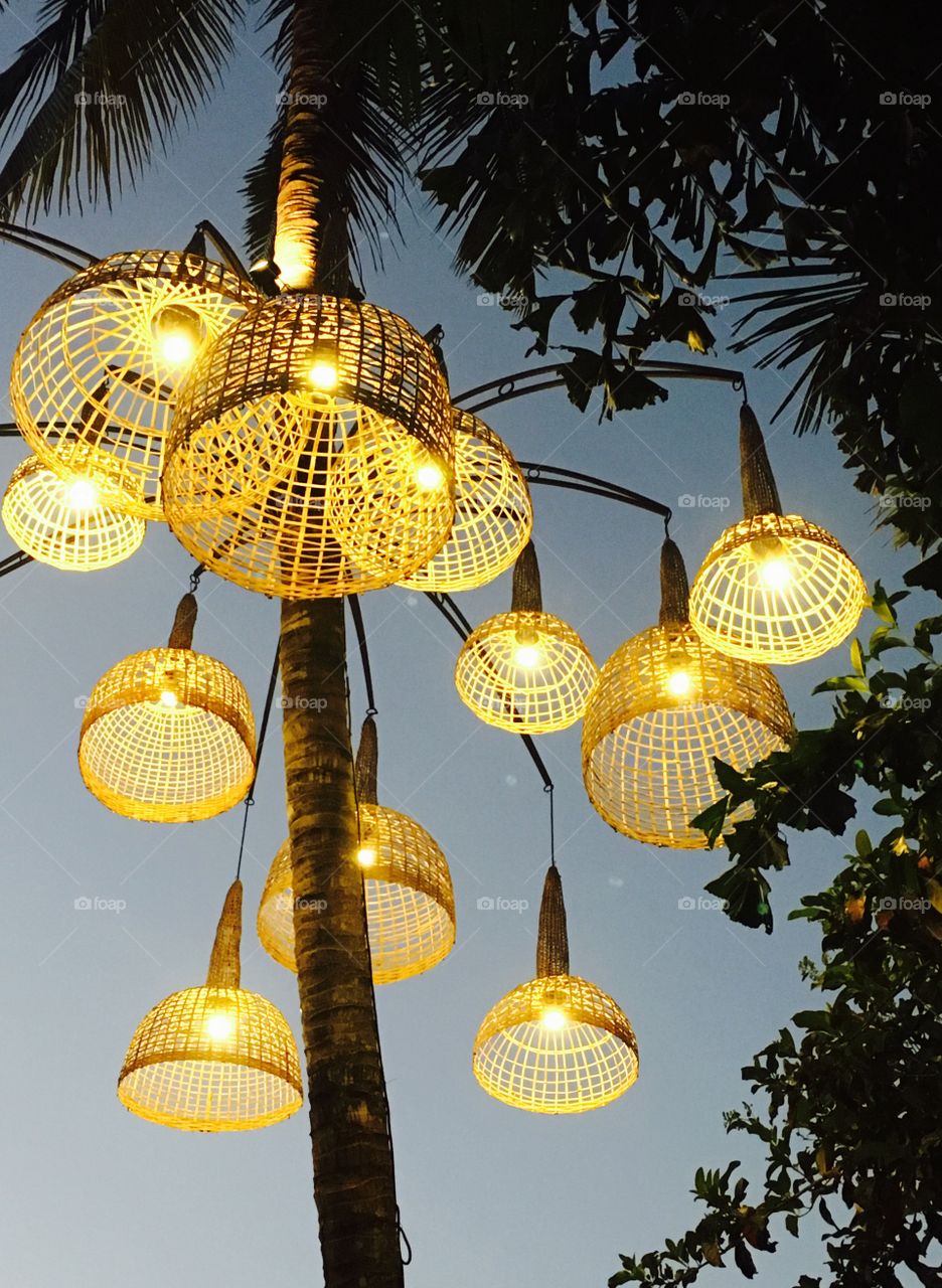 Lighting at coconut tree