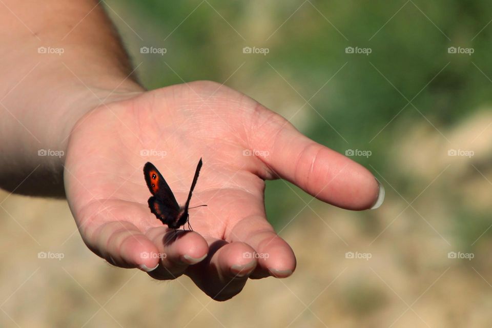 A small butterfly sits in a woman's hand