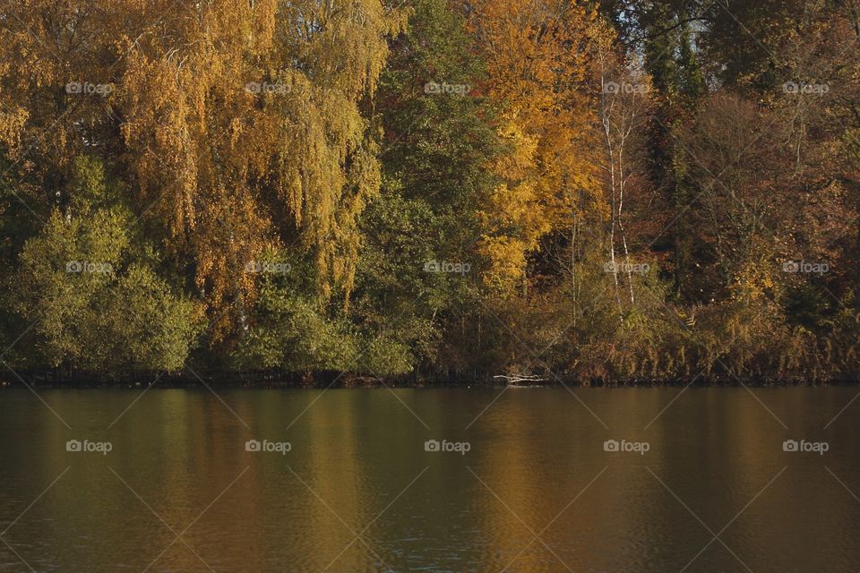 View of Sempachersee lake, Luzern, Switzerland
