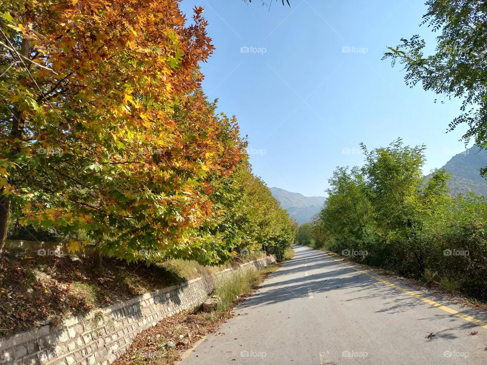 in autumn