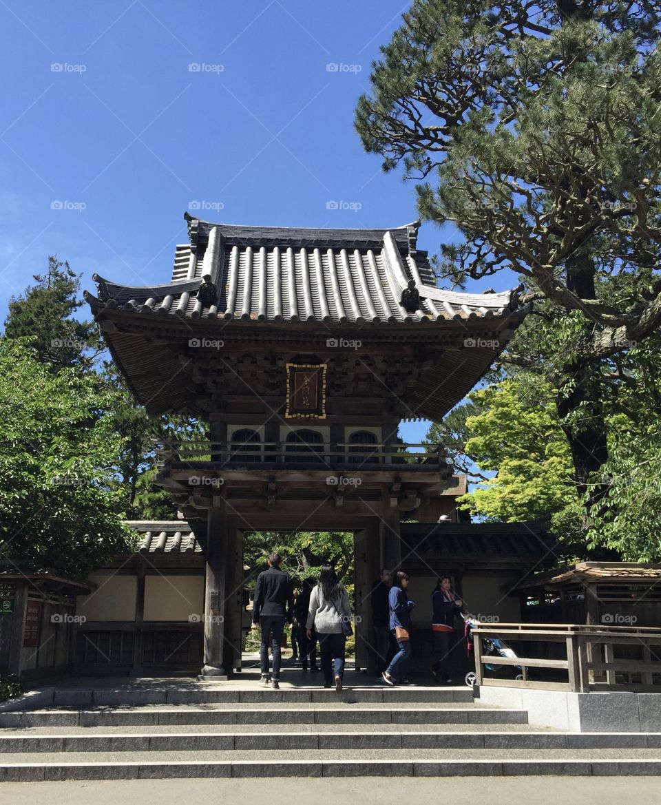 San Francisco Japanese Tea Garden 