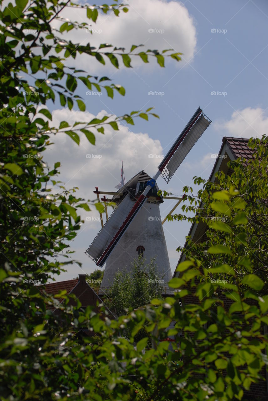 Windmill in the Netherlands