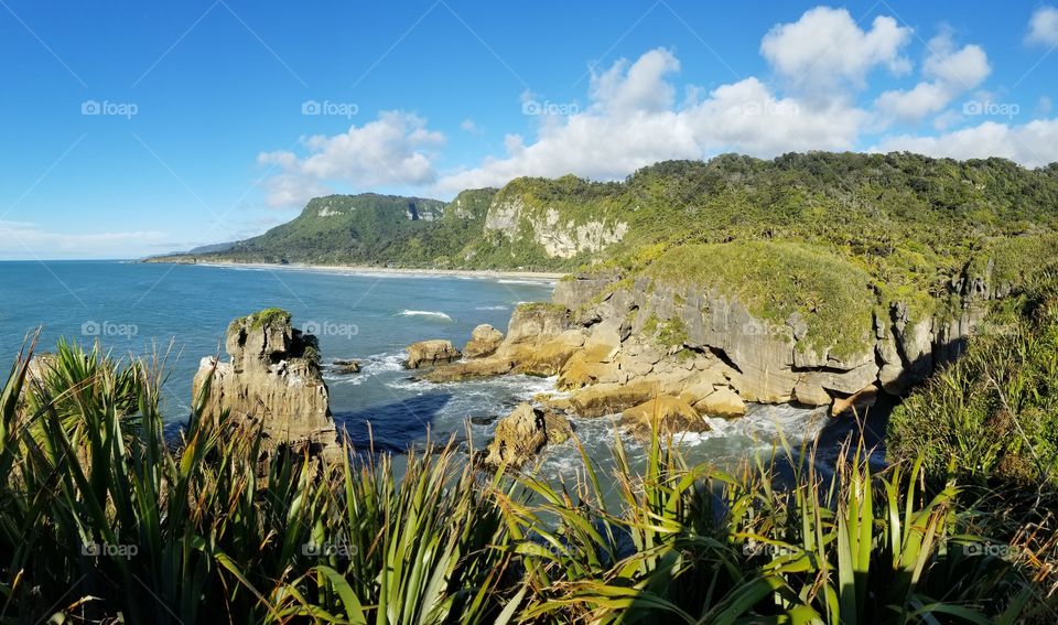 new Zealand coast
