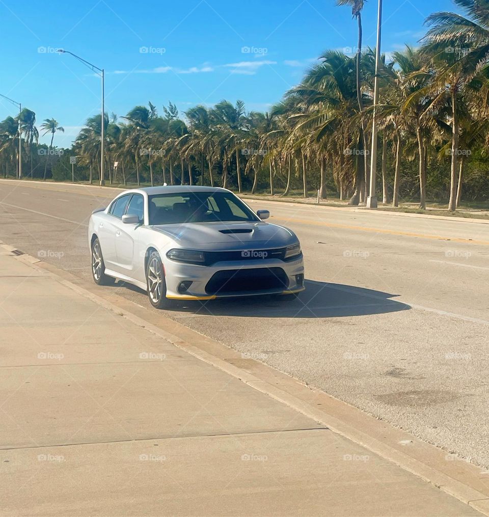 Florida Road Trip! End destination- Key West 