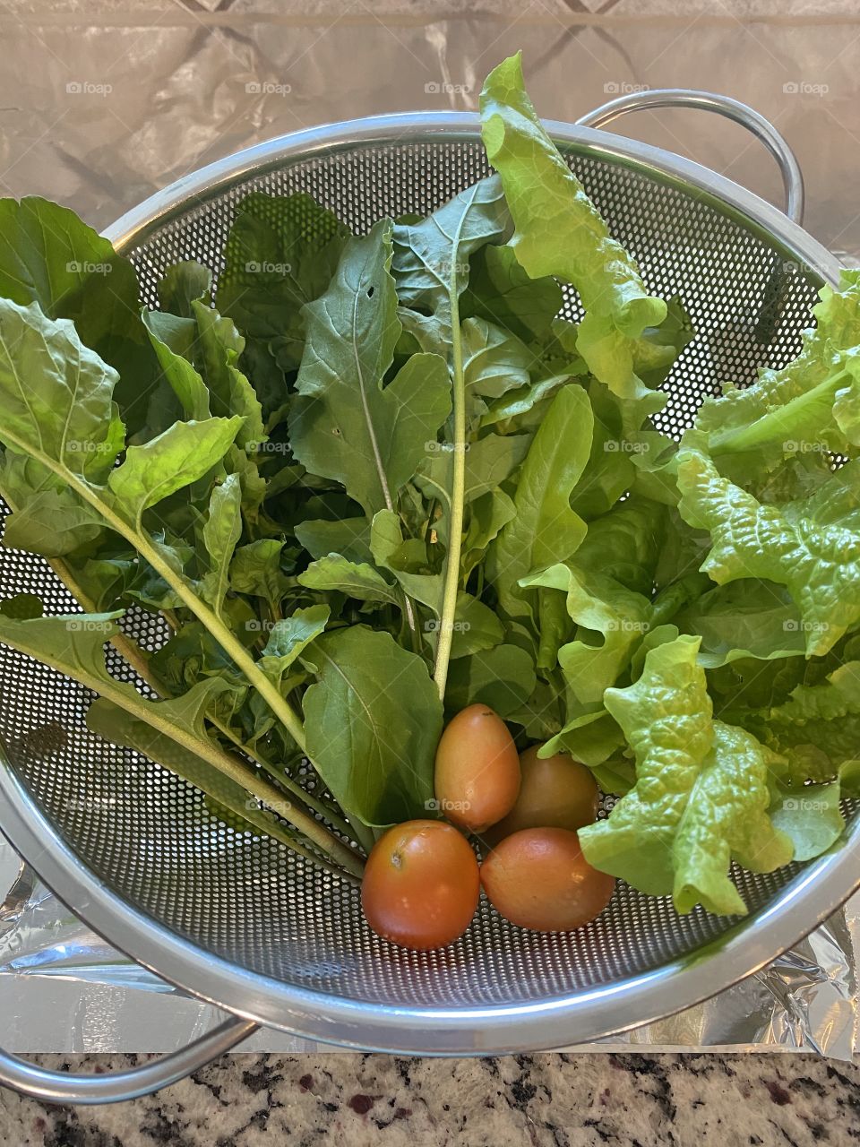 Three fresh, organic, homegrown and nutritious vegetables: arugula, lettuce and tomatoes