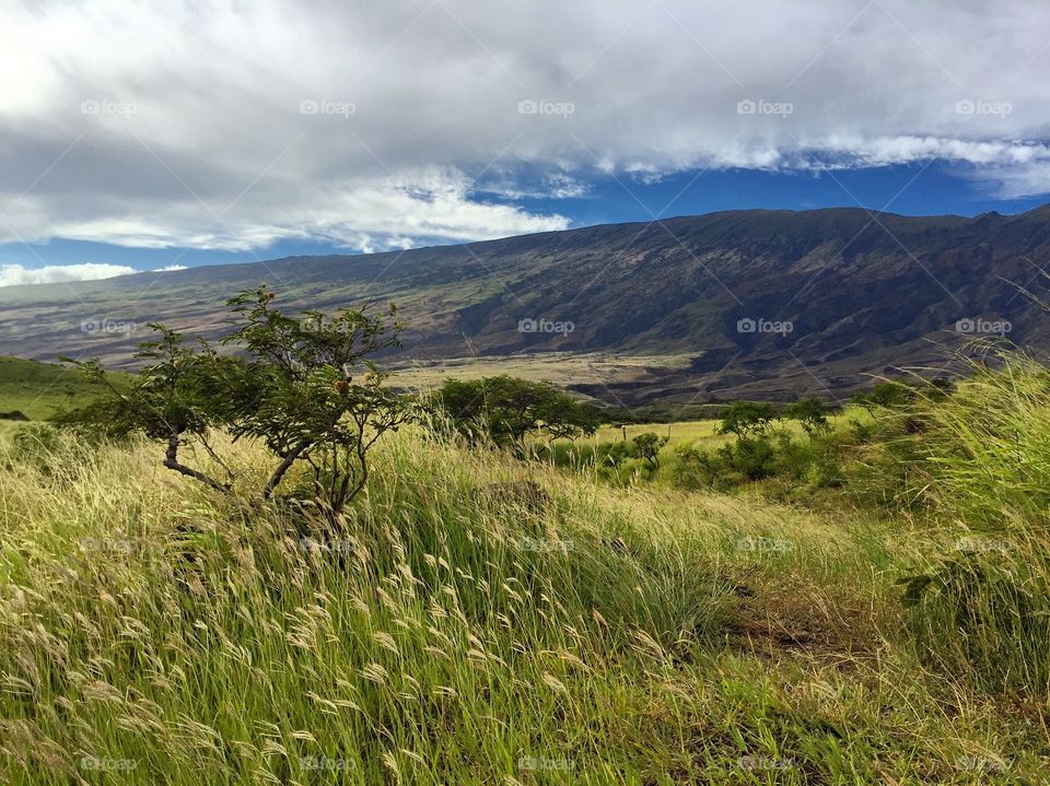 Back country Maui, Hawaii 