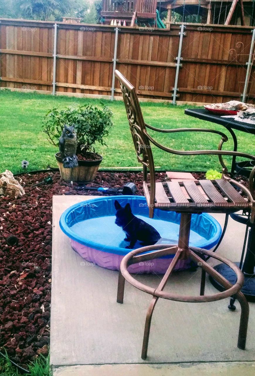 Sitting and enjoying the day