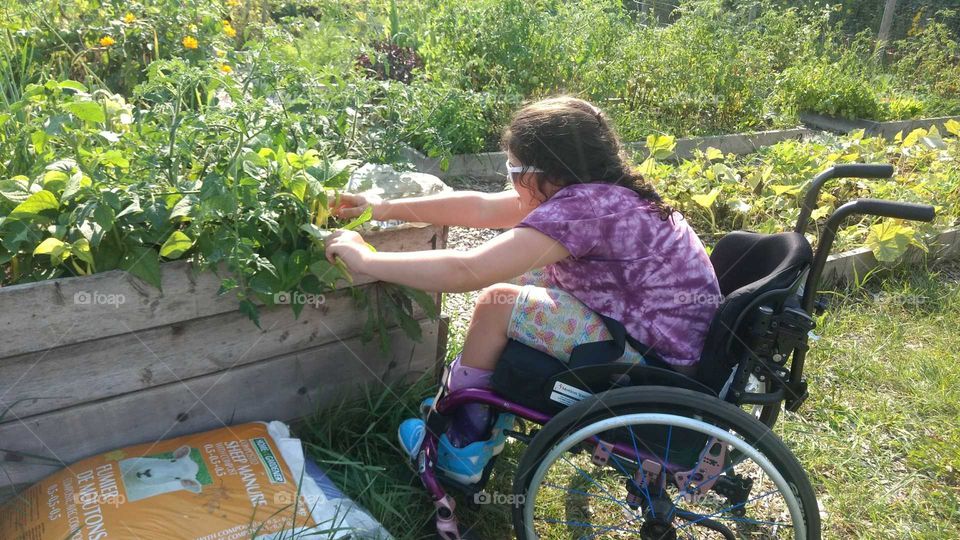 Accessible Gardening