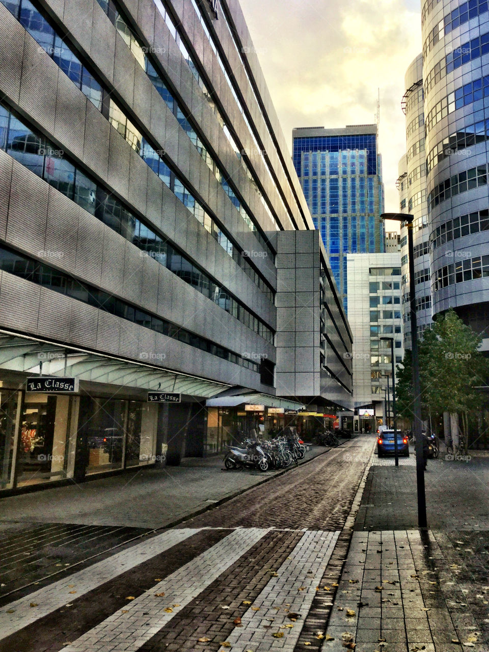 Rotterdam architecture 
