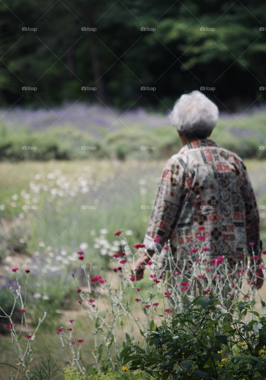 Stroll through the garden 