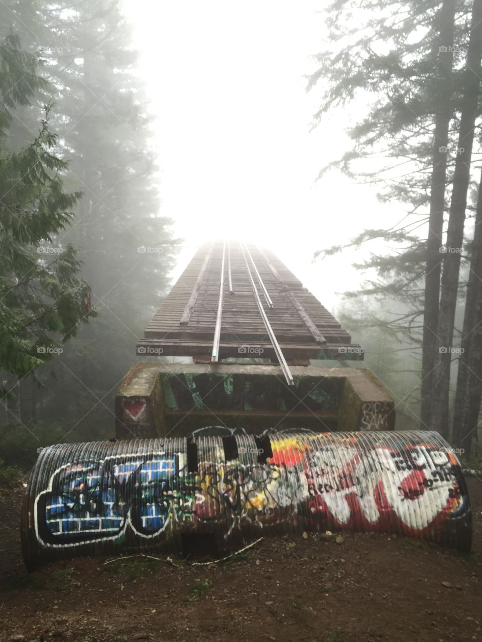 Vance creek. trip to #thatnorthwestbridge 