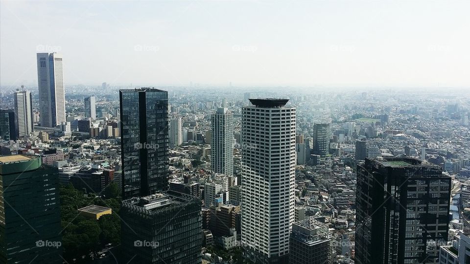 Daytime Tokyo Metropolis offices