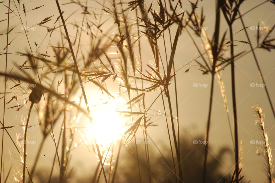 sunset in the morning