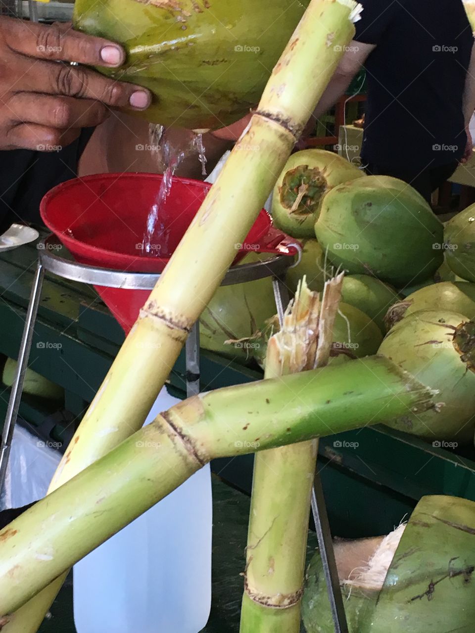 Coconut and Sigar Cane