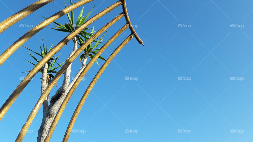 No Person, Sky, Nature, Outdoors, Wood