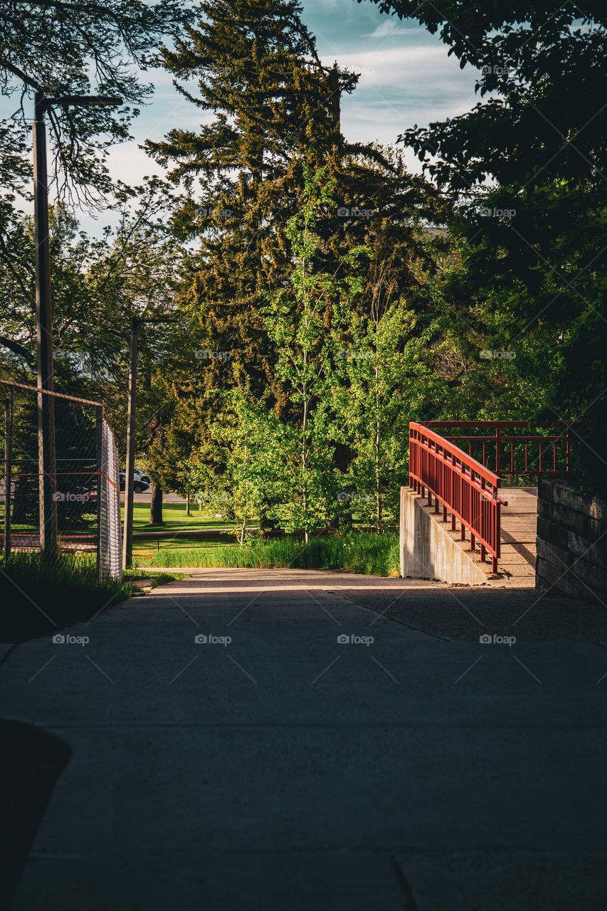 One of the many paths of MSU campus.