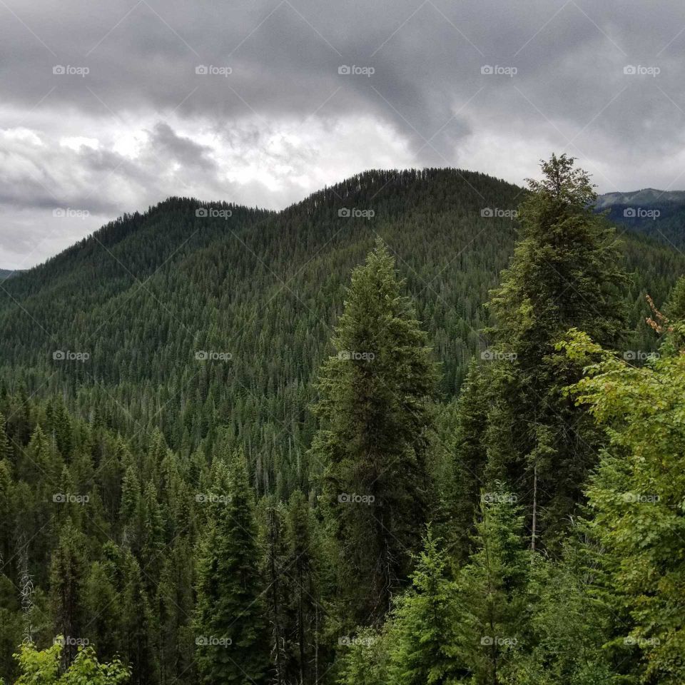 green trees and mountain peaks under a cloudy rainy sky