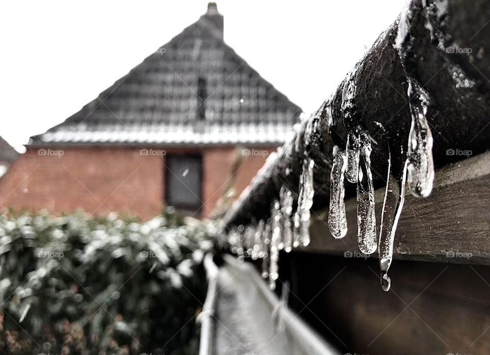 Icicles in focus ❄️
