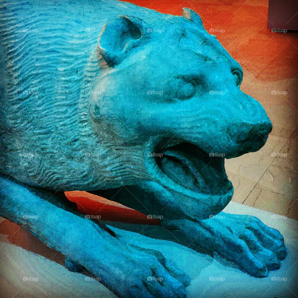 No Person, One, Fish, Water, Animal