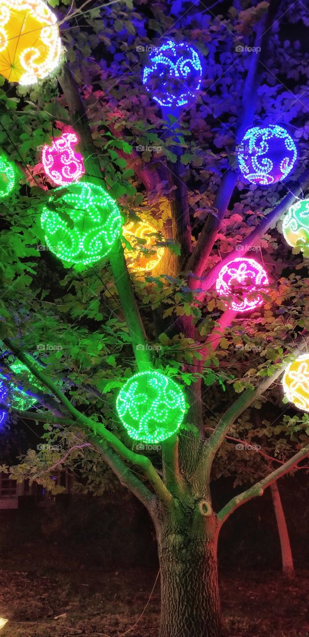 ILLUMINATION of Lights