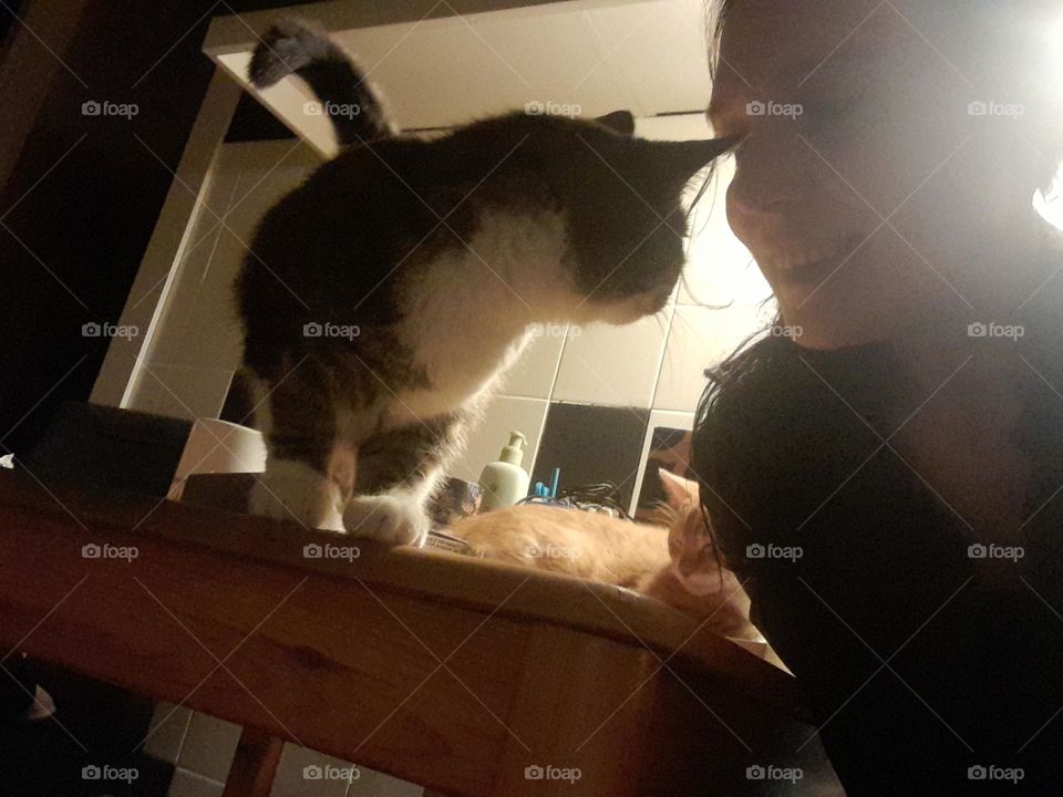 love togheter cat & woman