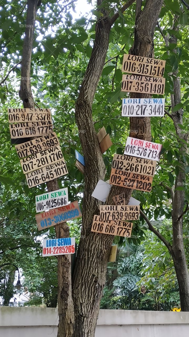 Advertising from a tree