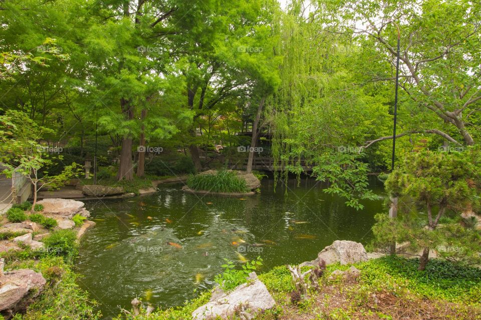 Fort Worth Japanese garden 