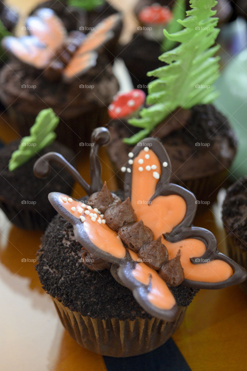 Butterfly Cupcakes 