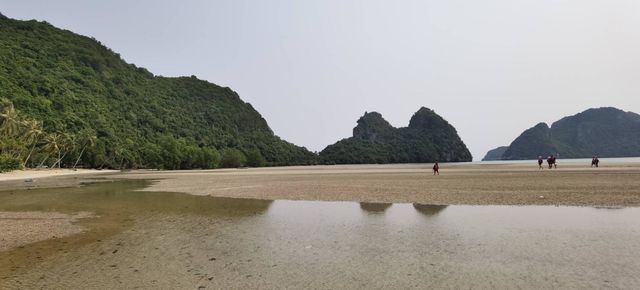 enjoy-sea