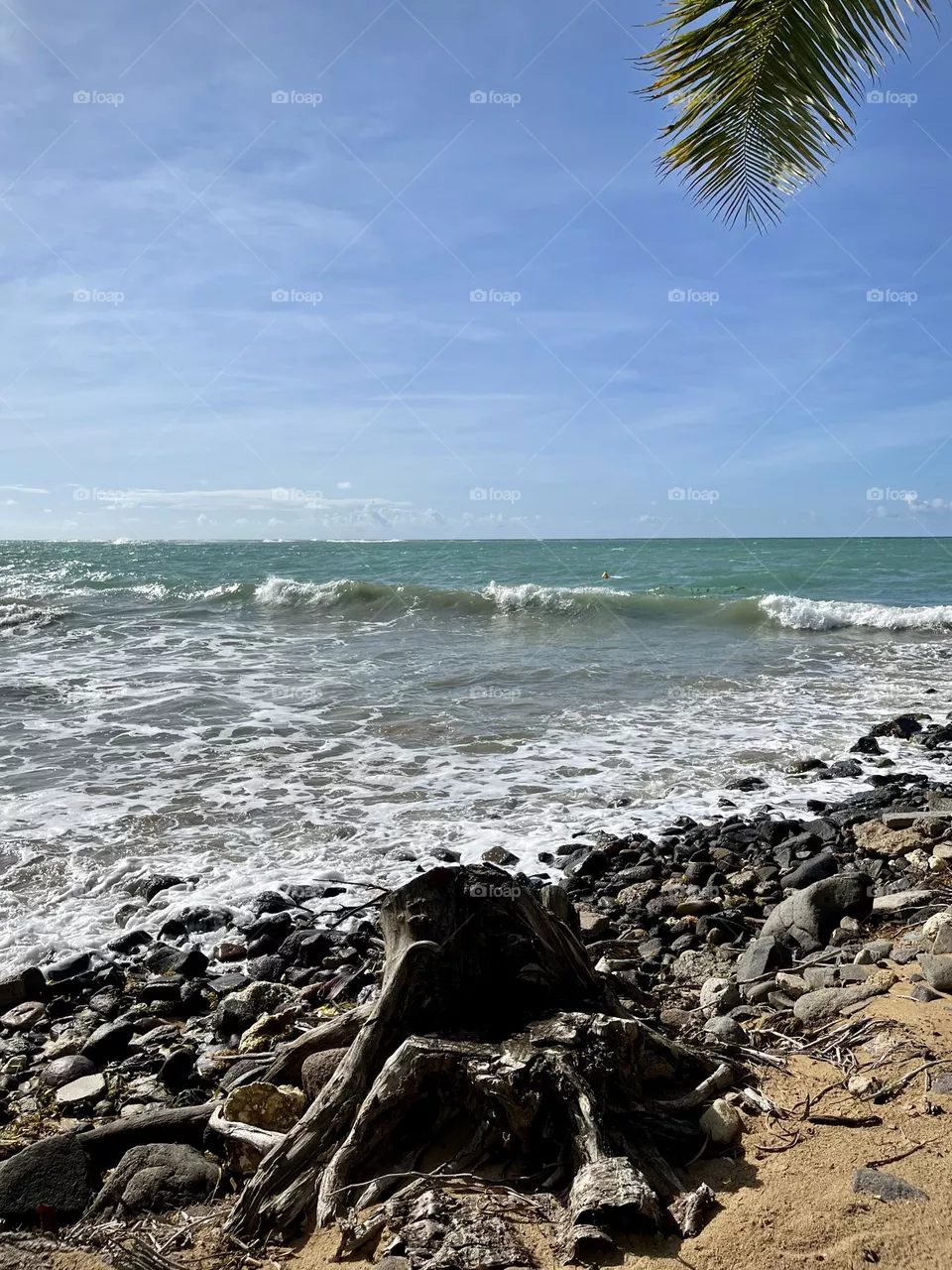 Caraibeen sea 